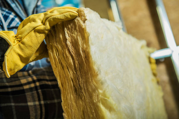 Best Energy Efficiency Insulation in Pleasure Point, CA
