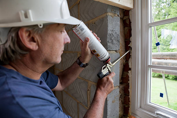 Best Geographic-Specific Insulation Services in Pleasure Point, CA